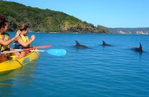 Rainbow Beach: Dolphin & Wildlife Ocean Kayak & Beach 4WD Tour