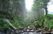 Whittier to Anchorage Post Cruise Scenic Transfer Tour