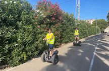 Tour of the Port and Marina of Dénia