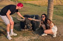 Hoi An Motorbike : Buffalo, Basket Boat, Duck Farm & Body Massage