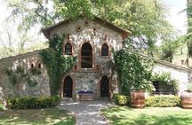 Radda in Chianti: Wine Tasting, Cellar Tour & Tuscan Lunch