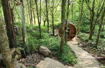 Woodland Immersion Retreat Half Day Spa Wellness Experience