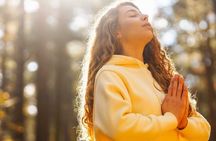 Nourish Full Day Woodland Spa Wellness Retreat Northern Ireland