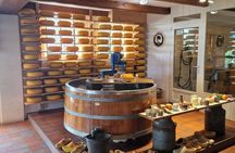 Windmills, Volendam and Cheese Farm Private Tour from Amsterdam