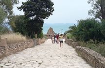 Private Guided Excursion Tunis, Carthage and Sidi Bou Said from Hammamet