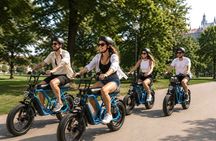 Old Town & Castle side on Chopper E-BIKE (small group)