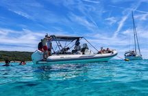 Full Day Speedboat Tour in Zadar County