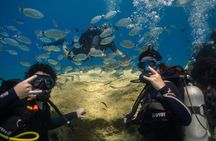 Green Bay Turtle Dive Experience in Protaras