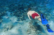 Nassau: Pearl Island Reef Snorkeling + Beach Day & Bahamian Lunch