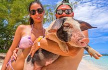 Nassau: Bahamas Swimming Pigs & Pearl Island Beach with Lunch