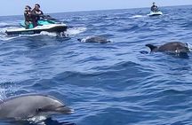 Guided Dolphin Jet Ski Adventure | Long Beach to Catalina Island