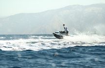 Guided Dolphin Jet Ski Adventure | Long Beach to Catalina Island