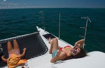 Shallow Water Snorkeling and Dolphin Watching in Key West