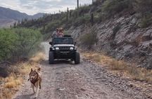 Private Jeep Off Road Adventure in Arizona Desert with Huskies