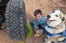 Private Jeep Off Road Adventure in Arizona Desert with Huskies