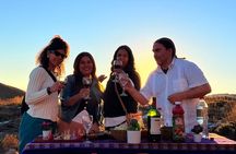 Condors & Sunset c/ Picnic departure by vehicle from Santiago