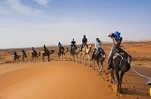 Tangier City Tour with Camel Ride