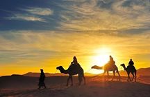 Tangier City Tour with Camel Ride
