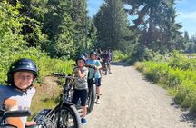 2 Hours eBike Whistler Multi-generational Tour with Local Guide