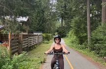 2 Hours eBike Whistler Multi-generational Tour with Local Guide