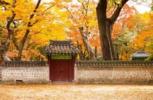 Private Half Day Seoul Tour Changdeokgung Palace and Bukchon