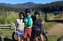 2 Hours eBike Whistler Multi-generational Tour with Local Guide