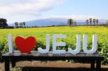 Jeju South and West Highlights Tour with Hallasan and Lava Cliff