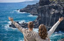 Jeju South and West Highlights Tour with Hallasan and Lava Cliff