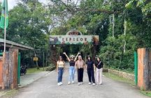 Full Day Sepilok Orangutan and Rainforest Discovery Centre Tour
