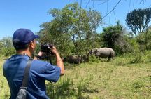 Ziwa Rhino Sanctuary Guided Walking Safari