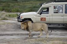 2 Days Tarangire and Ngorongoro Group Camping Adventure