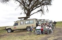 2 Days Tarangire and Ngorongoro Group Camping Adventure