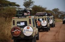 2 Days Tarangire and Ngorongoro Group Camping Adventure