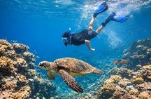Sharm El Naga Full Day Snorkeling with Turtles & Lunch – Hurghada