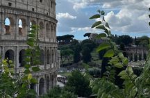 Colosseum History Legends and Secrets