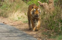 Golden Triangle Tour With Tiger Safari at Ranthambore 7 days