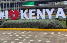 Nairobi Skyline Experience City Tour