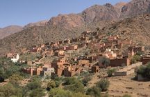 Taroudant and Tiout Oasis Day Trip from Agadir with Lunch