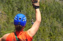 Zipline Adventure Tour Over the Coastline of Petty Harbour