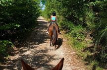 Horseback Ride with Aperitif in the Hills of Pisa