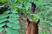 Horseback Ride with Aperitif in the Hills of Pisa