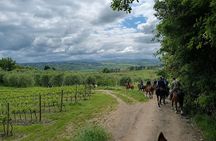 Horseback Ride with Aperitif in the Hills of Pisa
