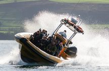 Bridges Rib Tours 60 Minutes