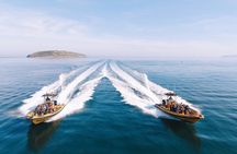 Bridges Rib Tours 60 Minutes