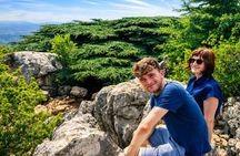 Private Full-Day Tour to Cedars, Baalbek and Ksara from Beirut