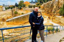 Private Full-Day Tour to Cedars, Baalbek and Ksara from Beirut