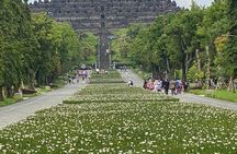 Private Car & Driver in Yogyakarta – Flexible, Customized Tours