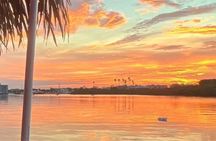 Sunset Dolphin Tiki Boat Cruise