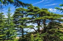 Private Full-Day Tour to Qadisha valley, Bcharre and Cedars of God from Beirut