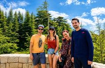 Private Full-Day Tour to Qadisha valley, Bcharre and Cedars of God from Beirut